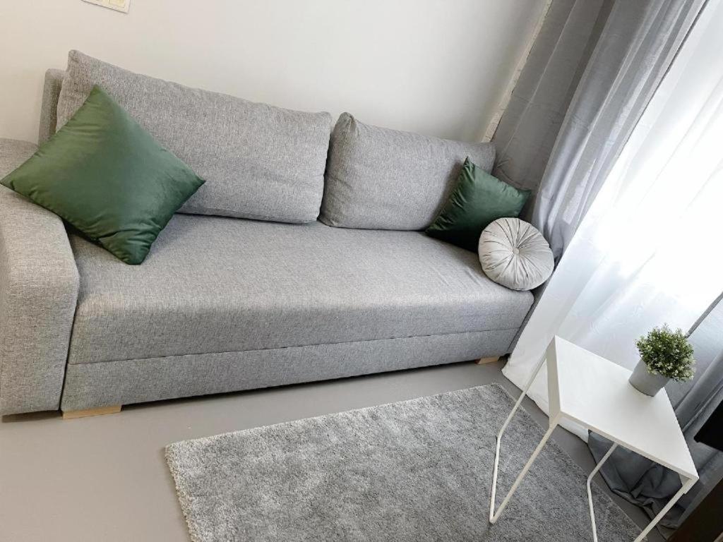 Green Hill Apartments カトヴィツェ エクステリア 写真